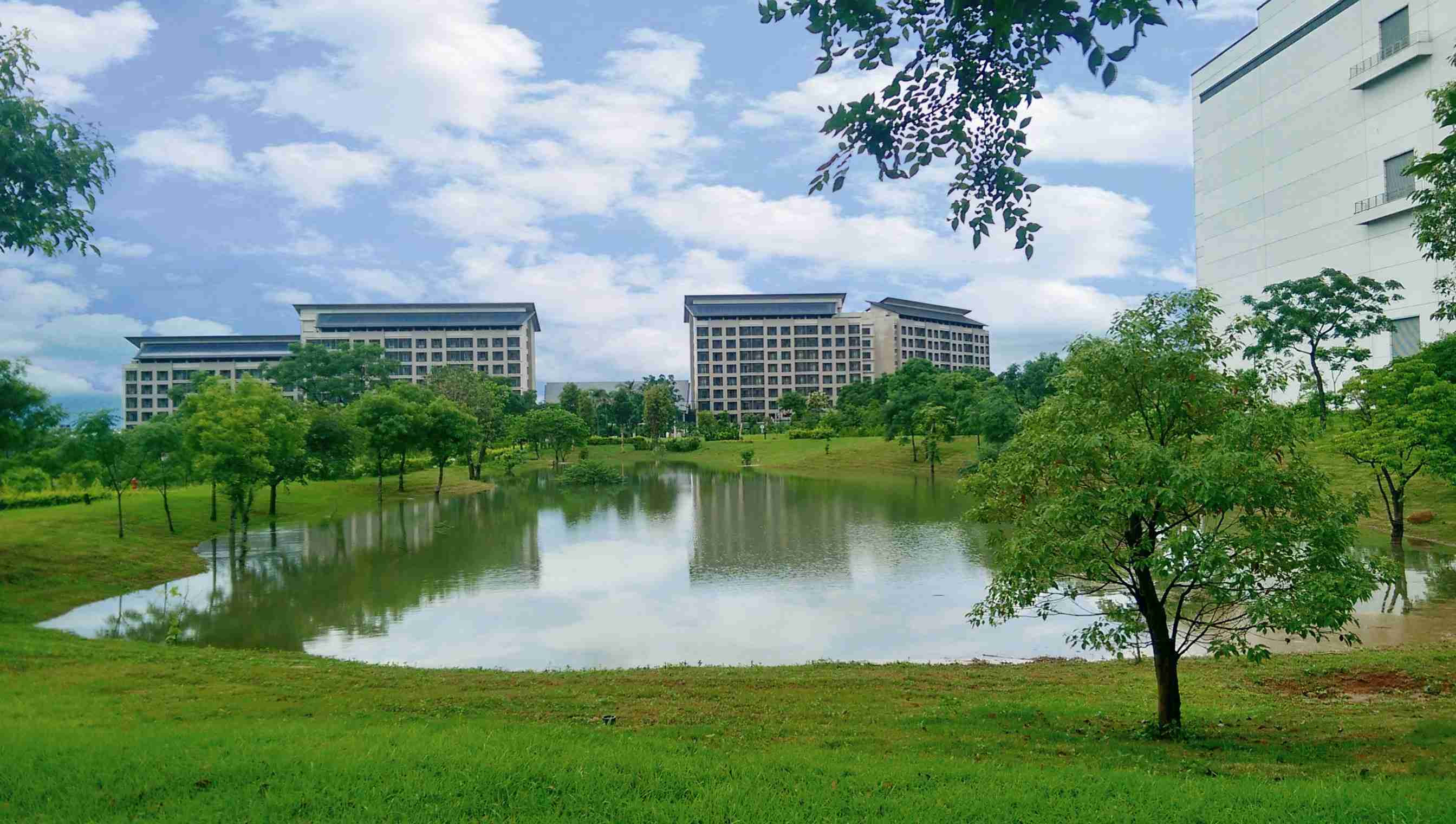 至成国际响应国际倡议生物多样性趋势，，，，首次发布TNFD自然相关财务揭露报告书，，，擘划及开展至成国际生物多样性政策之承诺，，，逐步迈向与自然和谐共生